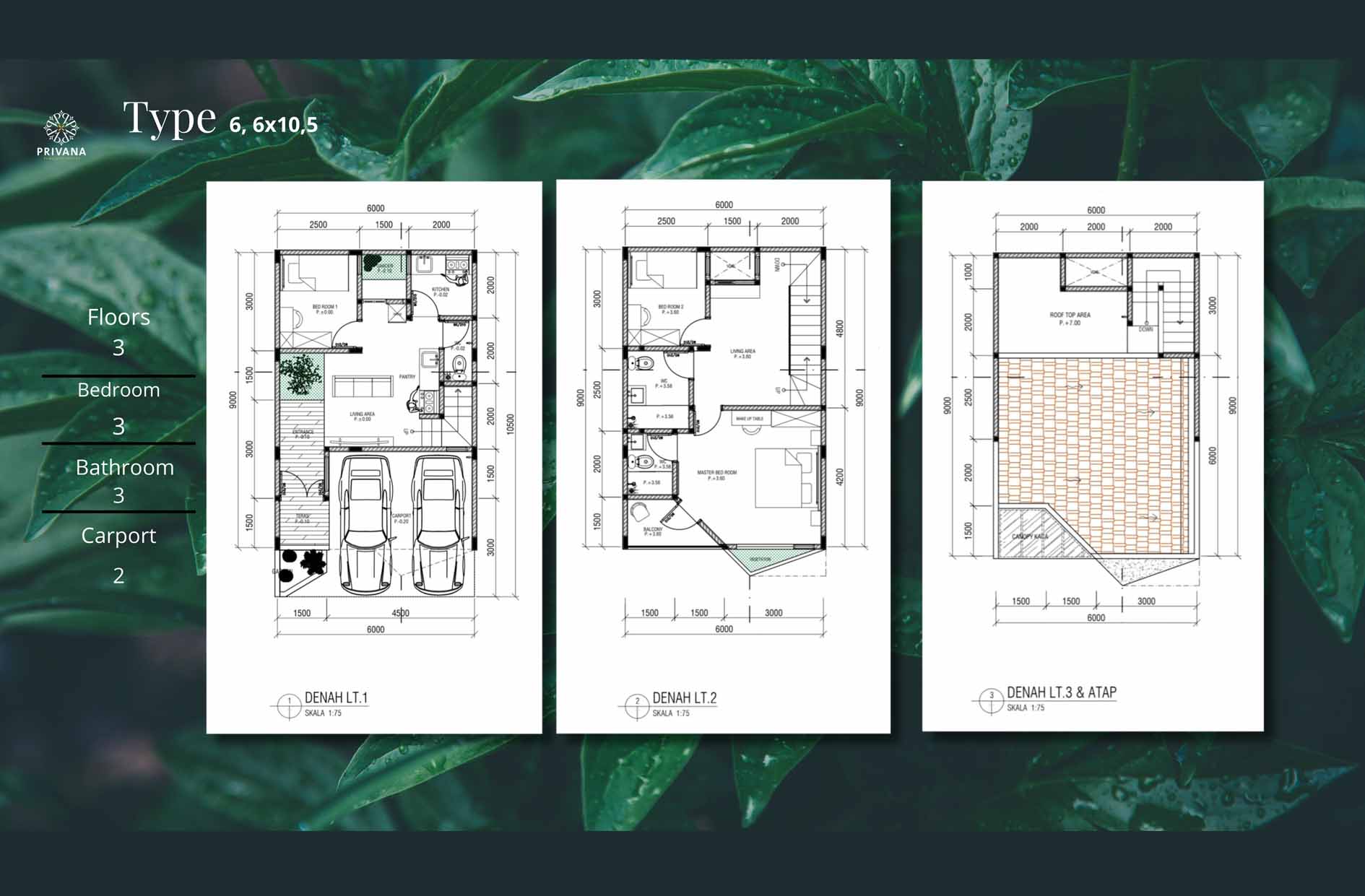 layout tipe 6