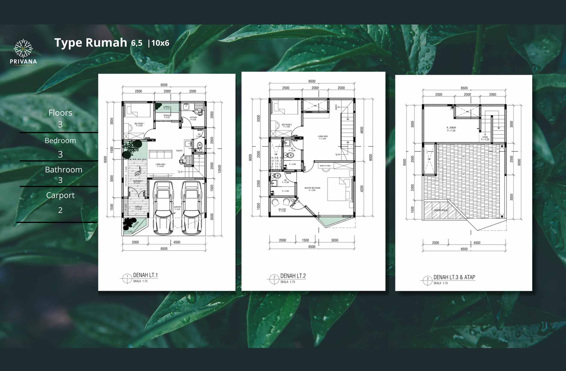 layout tipe 6,5